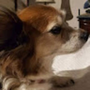 Meet your Posher, Cassie